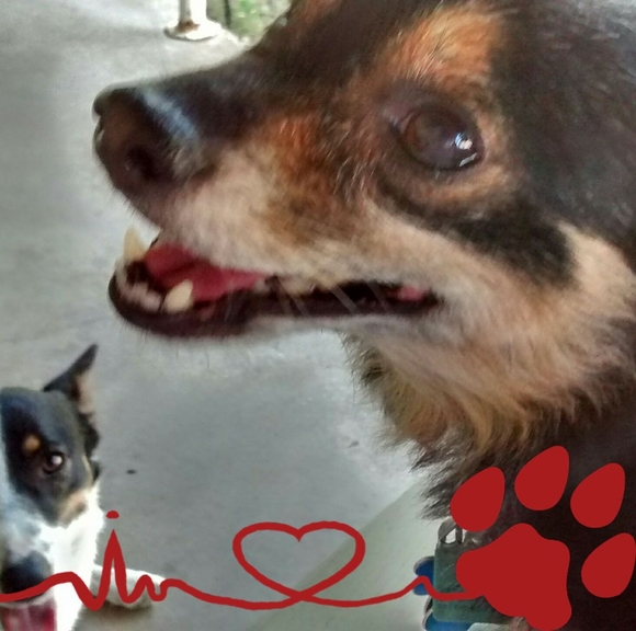 Meet your Posher, Jamie - Picture 1 of 1